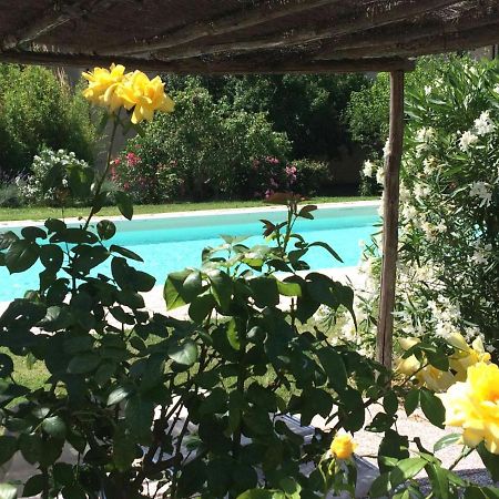 Agriturismo Lupo Vecchio Grosseto Exteriör bild