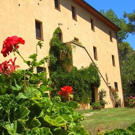 Agriturismo Lupo Vecchio Grosseto Exteriör bild
