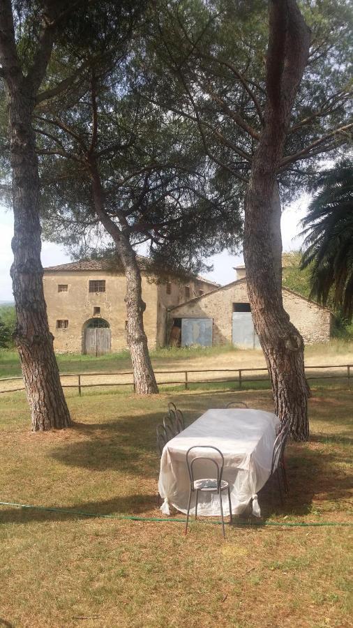 Agriturismo Lupo Vecchio Grosseto Exteriör bild